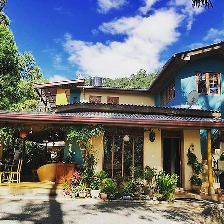 Waterfalls Homestay Ella Bagian luar foto