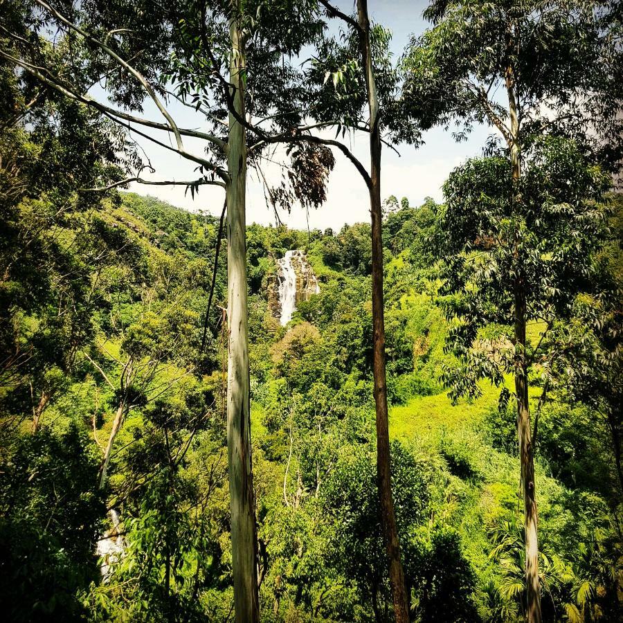 Waterfalls Homestay Ella Bagian luar foto